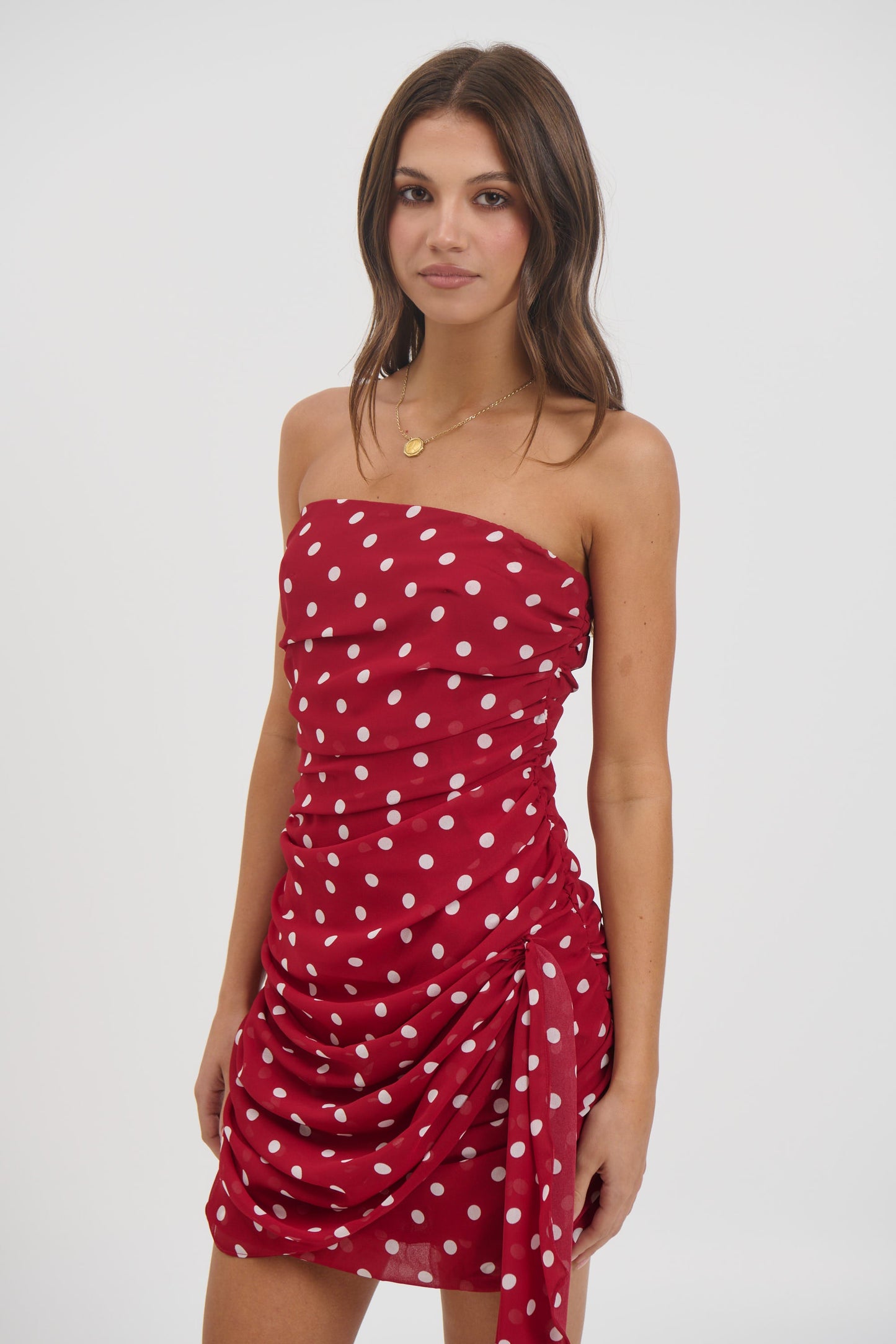 Charley Mini Dress Wine - FINAL SALE