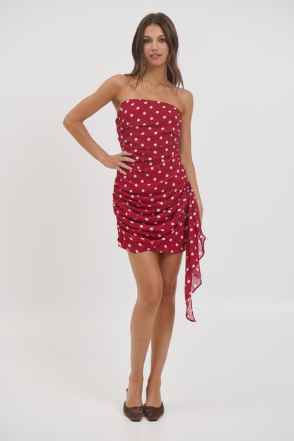 Charley Mini Dress Wine - FINAL SALE