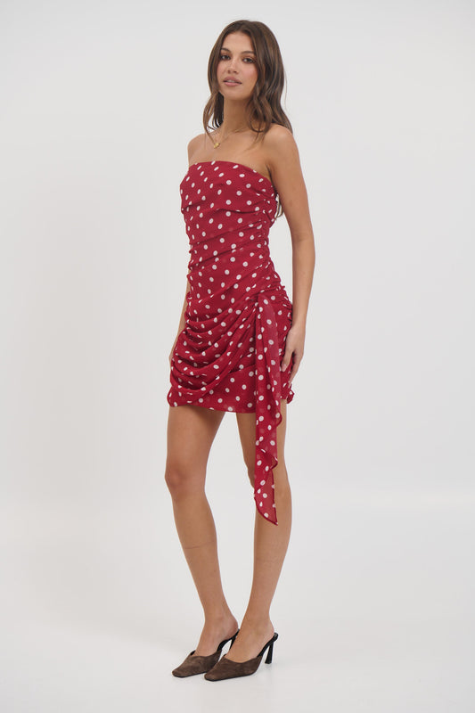 Charley Mini Dress Wine - FINAL SALE