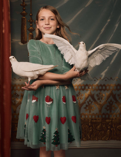 Aurora Appliqué Tulle Dress-Robin Motif
