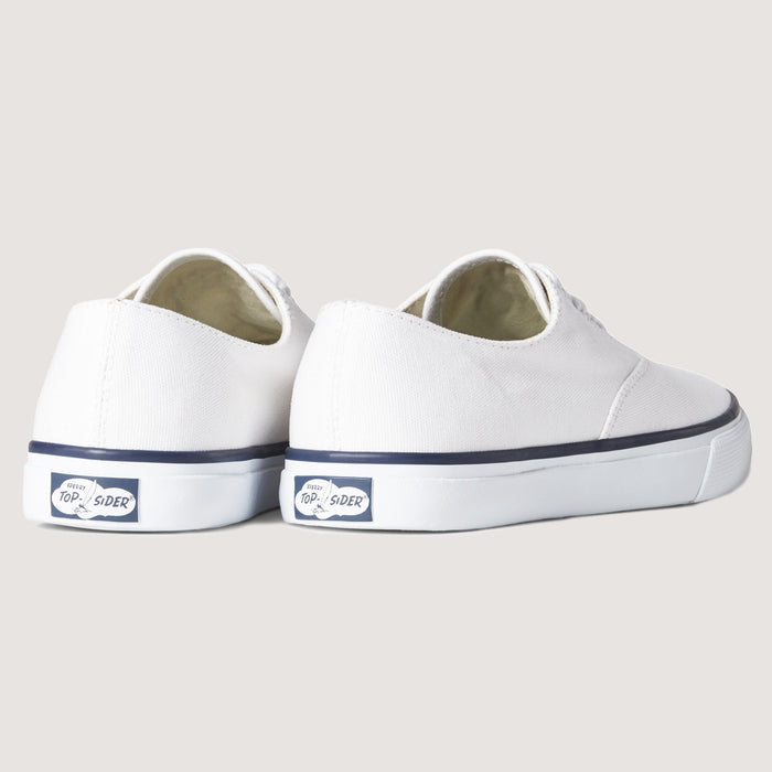 Sperry Cloud CVO Deck Sneaker White