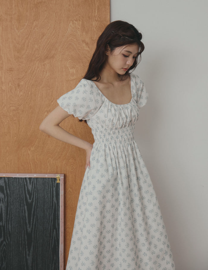 Stefanie Shirred Midi Dress in Blue Floral